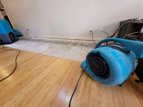 Professional Ceiling Water Damage Repair technician working in Dawson, TX