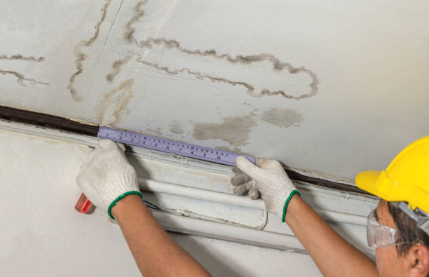 Affordable Ceiling Water Damage Repair solutions in Dawson, TX